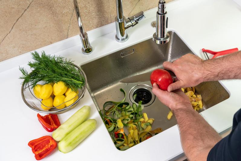 The Do's and Don'ts of Using Your Garbage Disposal Unit Image
